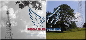 Pegasus Tower Zoning